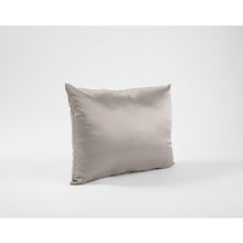 Load image into Gallery viewer, Pillows / LA Signature Purse Pillows
